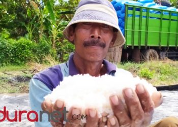 630.000 Ton Garam Tidak Laku Dijual