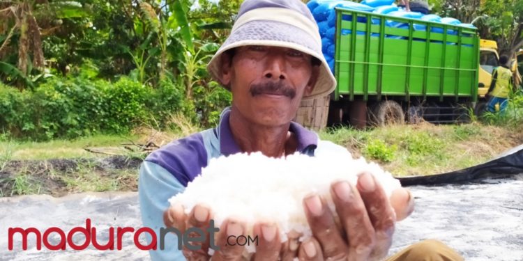 630.000 Ton Garam Tidak Laku Dijual