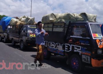 Harga Tembakau Anjlok, Anggota BPK Sebut Petaka bagi Petani