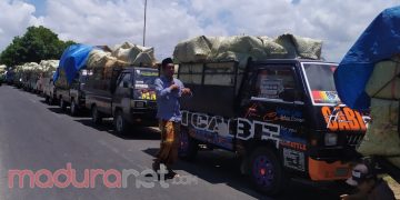 Harga Tembakau Anjlok, Anggota BPK Sebut Petaka bagi Petani