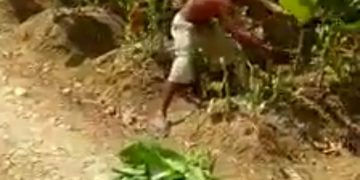 Disperindag Pamekasan Anggap Hoaks Petani Tebangi Pohon Tembakau