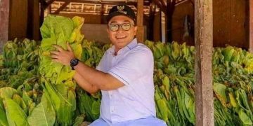 Tembakau Petani Pamekasan Dibeli Rp 300 Per Batang