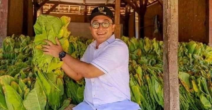 Tembakau Petani Pamekasan Dibeli Rp 300 Per Batang