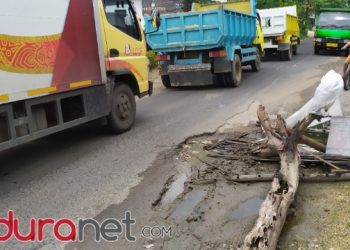 Sering Celakai Pengendara Jalan Ini Dipasangi Pohon