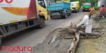 Sering Celakai Pengendara Jalan Ini Dipasangi Pohon