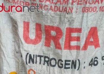 Petani di Kecamatan Larangan Mengeluh Soal Kelangkaan Pupuk Urea