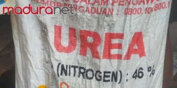 Petani di Kecamatan Larangan Mengeluh Soal Kelangkaan Pupuk Urea