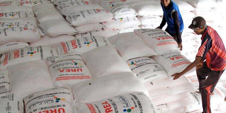 Kios Pupuk di Kaduara Barat Jual Urea Subsidi Rp 200 Ribu Per Sak