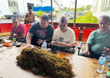 Kapolres Pamekasan Ikut Menyortir Tembakau di Gudang Bawang Mas