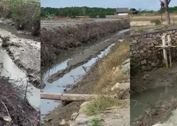 Pengerukan Sungai di Desa Lembung Merusak Ekosistem Mangrove