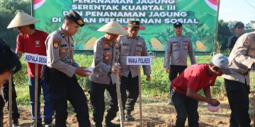 Polres Pamekasan Tanam Jagung Serentak, Dukung Ketahanan Pangan