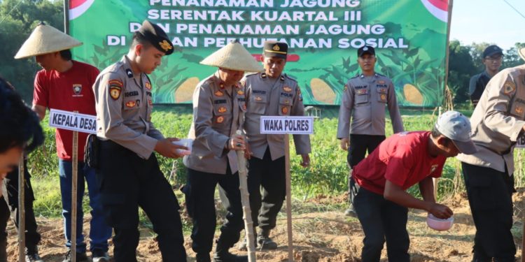 Polres Pamekasan Tanam Jagung Serentak, Dukung Ketahanan Pangan