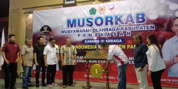 Muhammad Makruf Pimpin E-Sport Secara Aklamasi