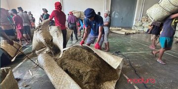 Pembelian Tembakau Murah Tak Bisa Disanksi