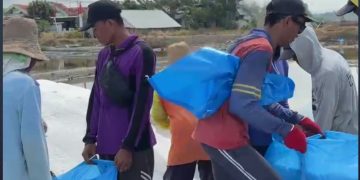Dibutuhkan Regulasi Harga Pokok Garam untuk Melindungi Petani