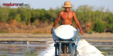 Kuli Angkut Garam Bertaruh Nasib dengan Musim