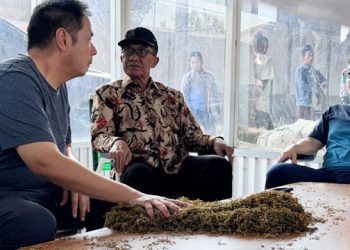 Sanksi Belum Diterapkan Bagi Gudang yang Ambil Sampel Tembakau Tak Dibayar