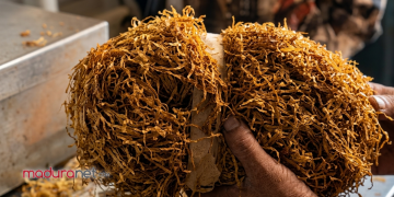 Sangat Merugikan, Potongan Tembakau Petani oleh Bandol Mencapai 5 Kilo